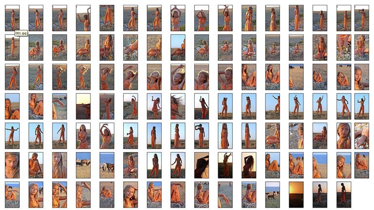 series4: Steppe(Complete Set)